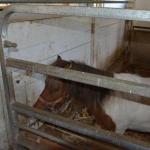 2017OTRA-1_419 (August 24, 2017)